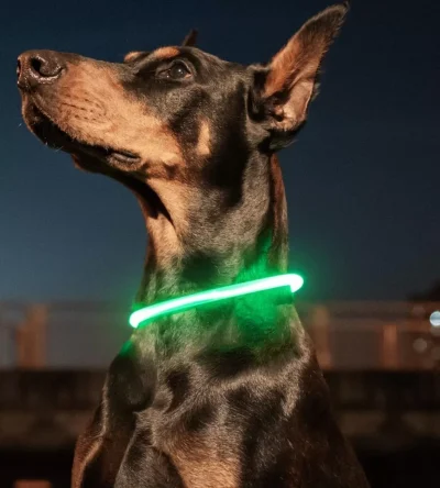 LED vágható világítós nyakörv-72cm