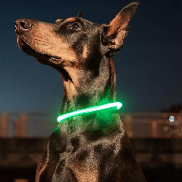 LED vágható világítós nyakörv-72cm