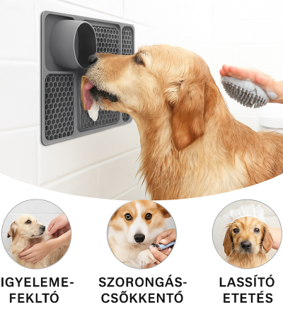 Prémium Kutya Evéslassító Nyalószőnyeg – 6 az 1-ben
