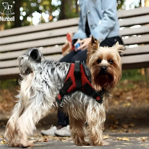 Nunbell Vest Harness Air típusú hám Kutyáknak XS-L - Image 12